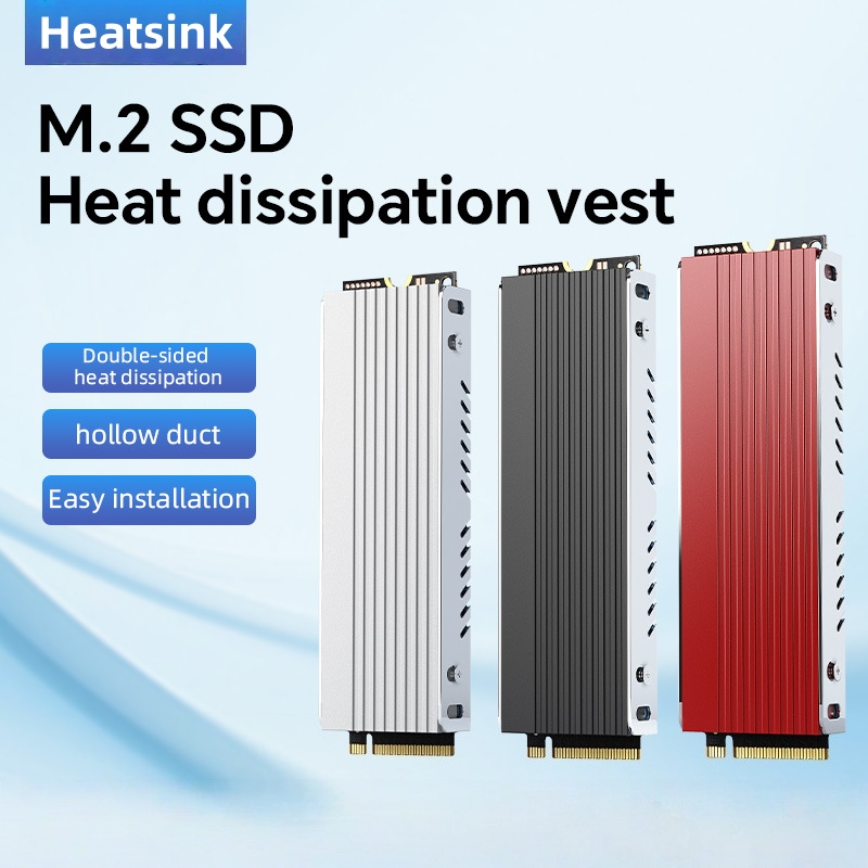 M2 Heatsink Cooler - Dissipatore di Calore M.2 SSD M2